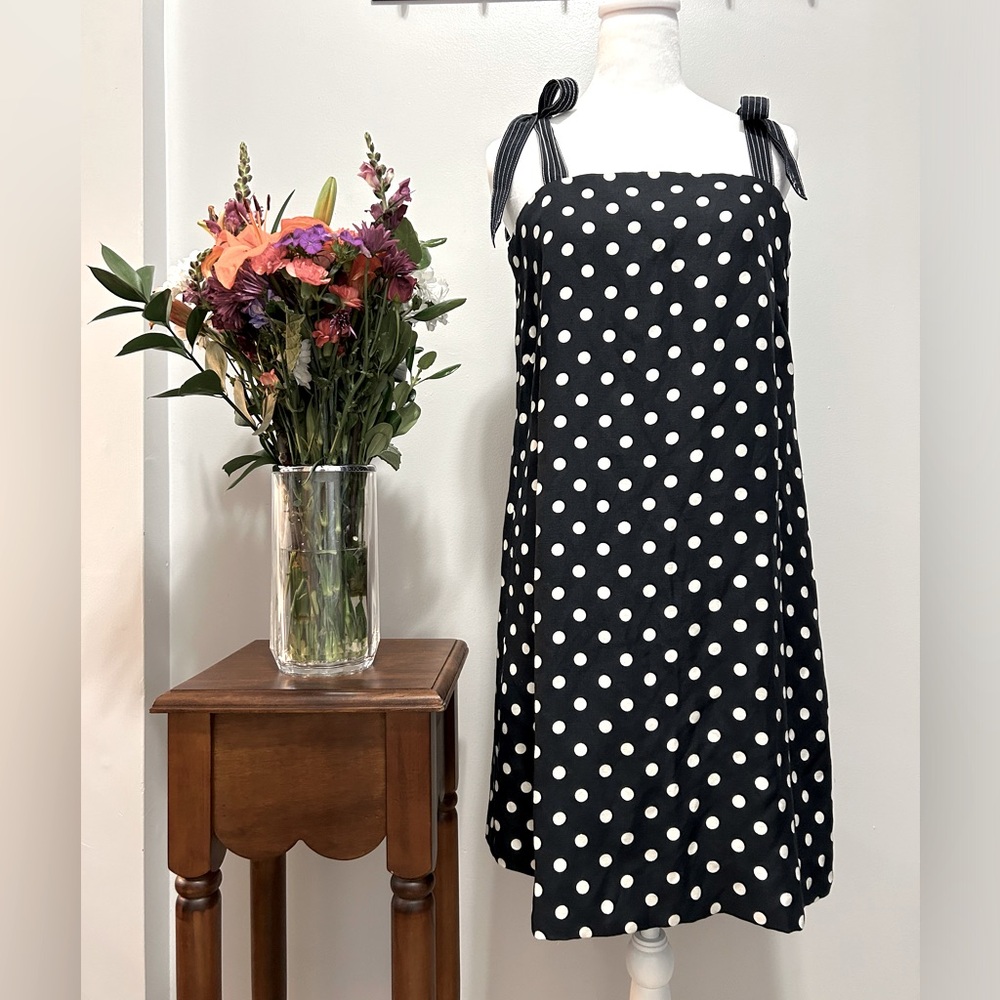 J. Crew Black and White Polka Dot Dress